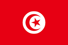 Tunisia Surveyors